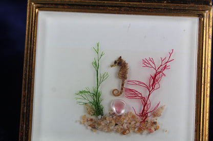 RARE Vintage 1960s Undersea Shadowbox Compact – Real Seahorse and Seashells, Threaded Sea Flora, Gold Tone Vanity Case