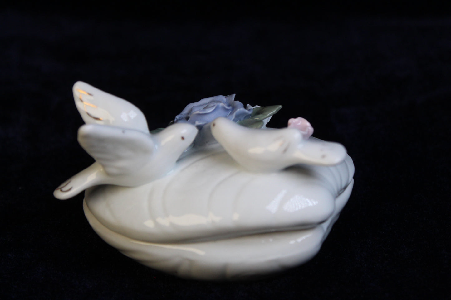 Dove