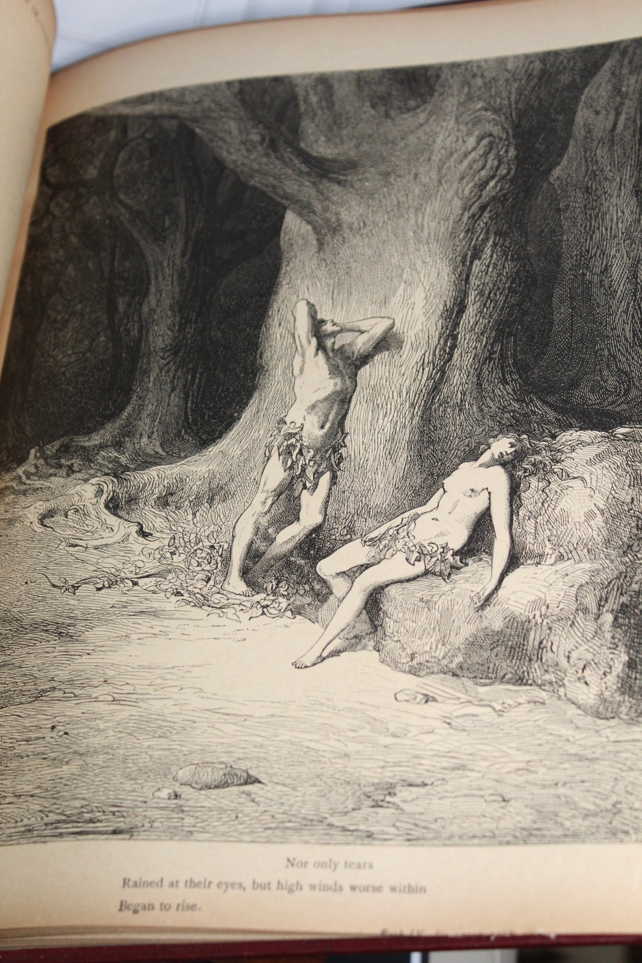 Rare Gustave Doré – Paradise Lost (1889 Edition)
