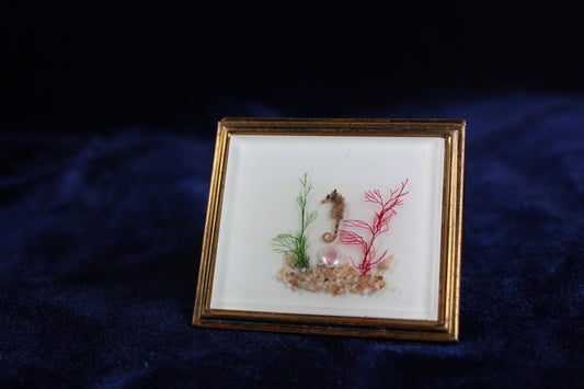 RARE Vintage 1960s Undersea Shadowbox Compact – Real Seahorse and Seashells, Threaded Sea Flora, Gold Tone Vanity Case
