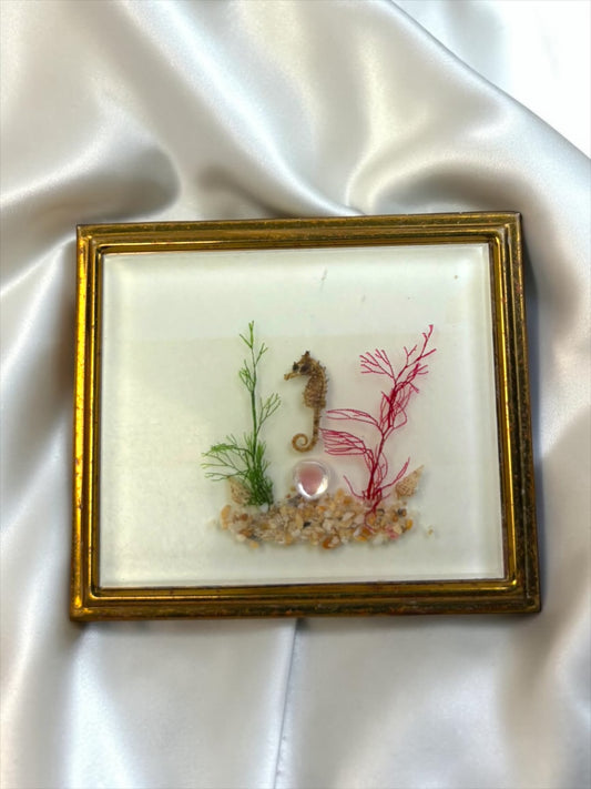 Vintage 1960s Undersea Shadowbox Compact – Real Seahorse and Seashells, Threaded Sea Flora, Gold Tone Vanity Case